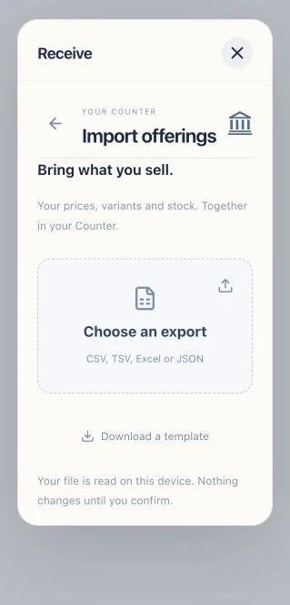 The actual import screen accepts CSV, TSV, Excel XLSX or JSON, with a template and confirmation before changes.
